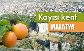 malatya-foto